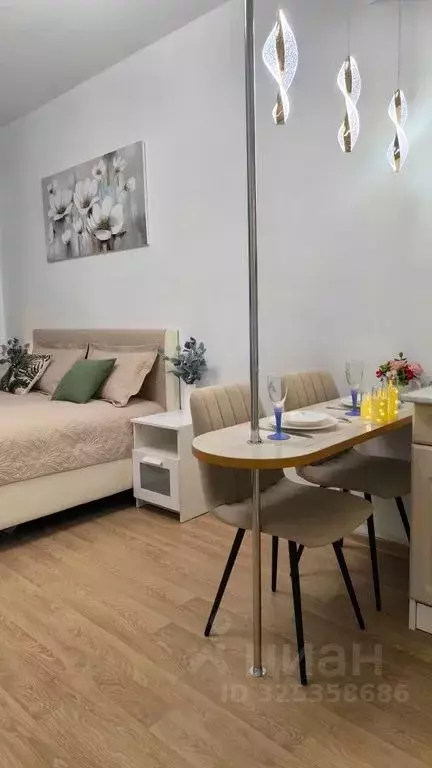 Студия Санкт-Петербург ул. Адмирала Черокова, 20 (24.0 м) - Фото 2