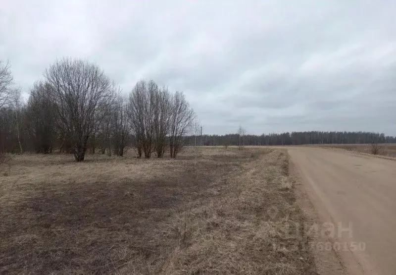 Участок в Московская область, Дмитровский муниципальный округ, д. ... - Фото 0