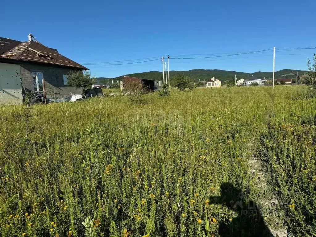 Участок в Краснодарский край, Новороссийск городской округ, ... - Фото 1