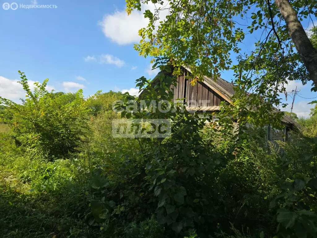 Дом в Могилевка, Заречная улица, 38 (45 м) - Фото 2