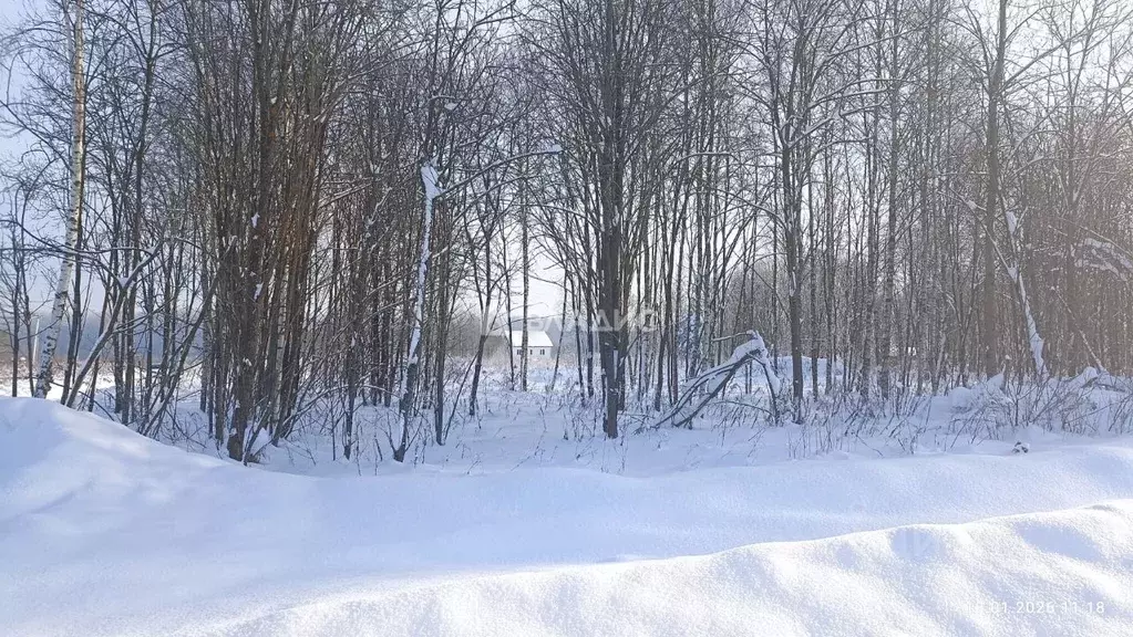 Участок в Калужская область, Калуга городской округ, д. Груздово  ... - Фото 2