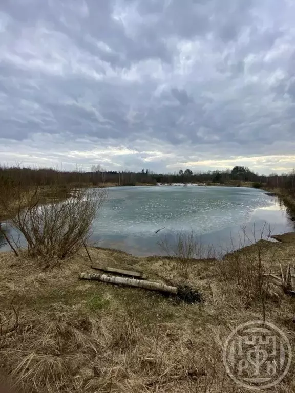 Участок в Ленинградская область, Всеволожский район, Колтушское ... - Фото 1