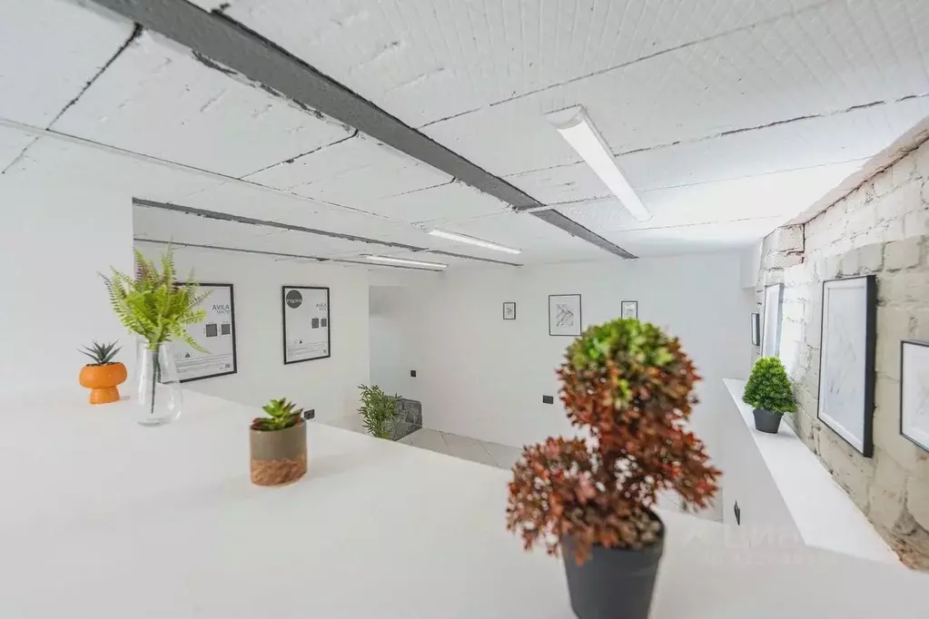 Помещение свободного назначения в Санкт-Петербург ул. Некрасова, 23 ... - Фото 1