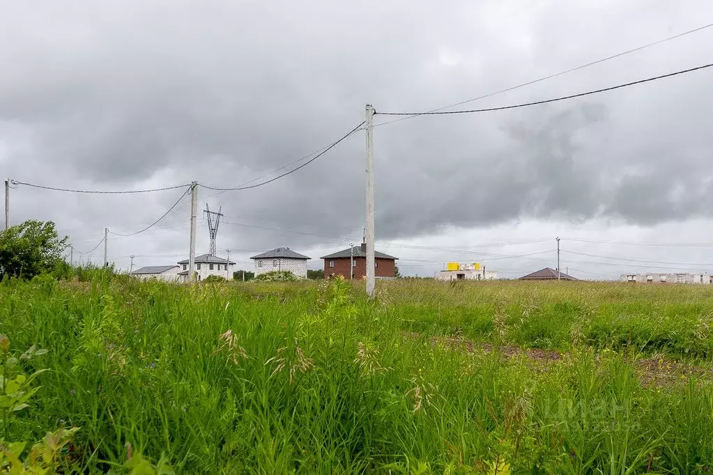 Участок в Владимирская область, Суздальский район, Новоалександровское ... - Фото 0