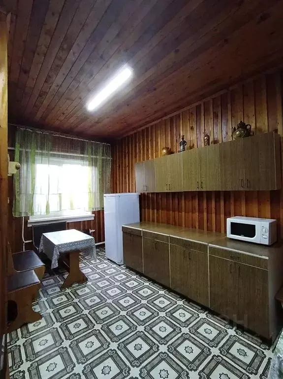 Дом в Хакасия, Ширинский район, пос. Колодезный Курортная ул., 2Б (62 ... - Фото 0