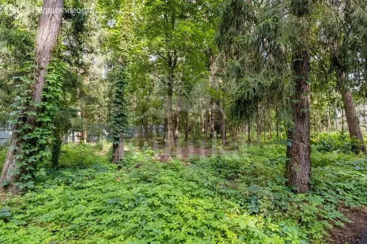Участок в Одинцовский городской округ, посёлок Николина Гора (15 м) - Фото 2
