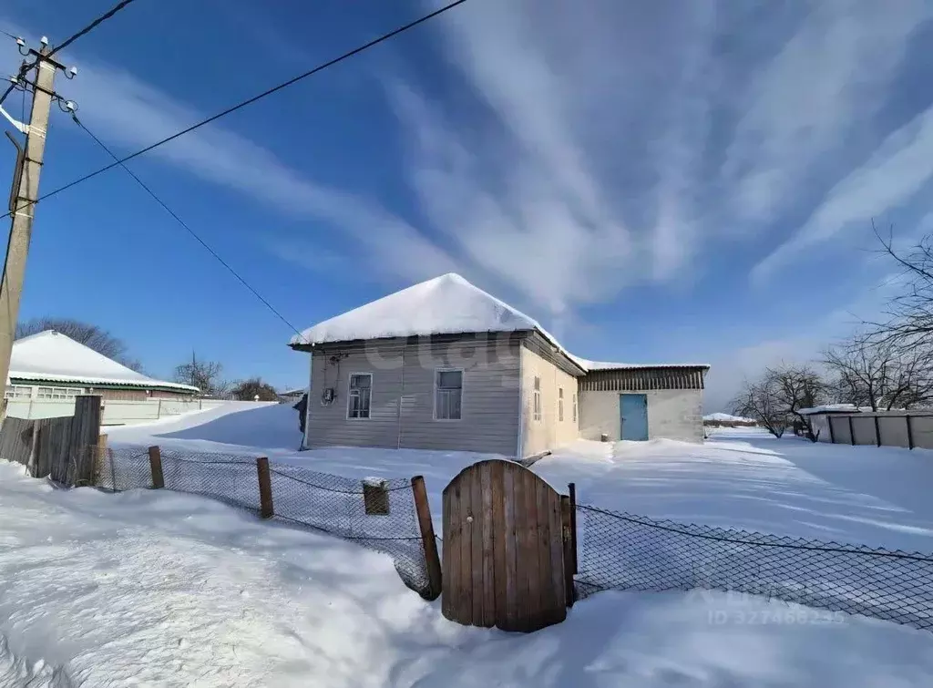 Дом в Брянская область, Выгоничское городское поселение, с. Лопушь ул. ... - Фото 2