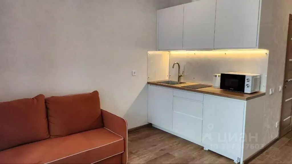 Студия Санкт-Петербург бул. Головнина, 4 (22.1 м) - Фото 2