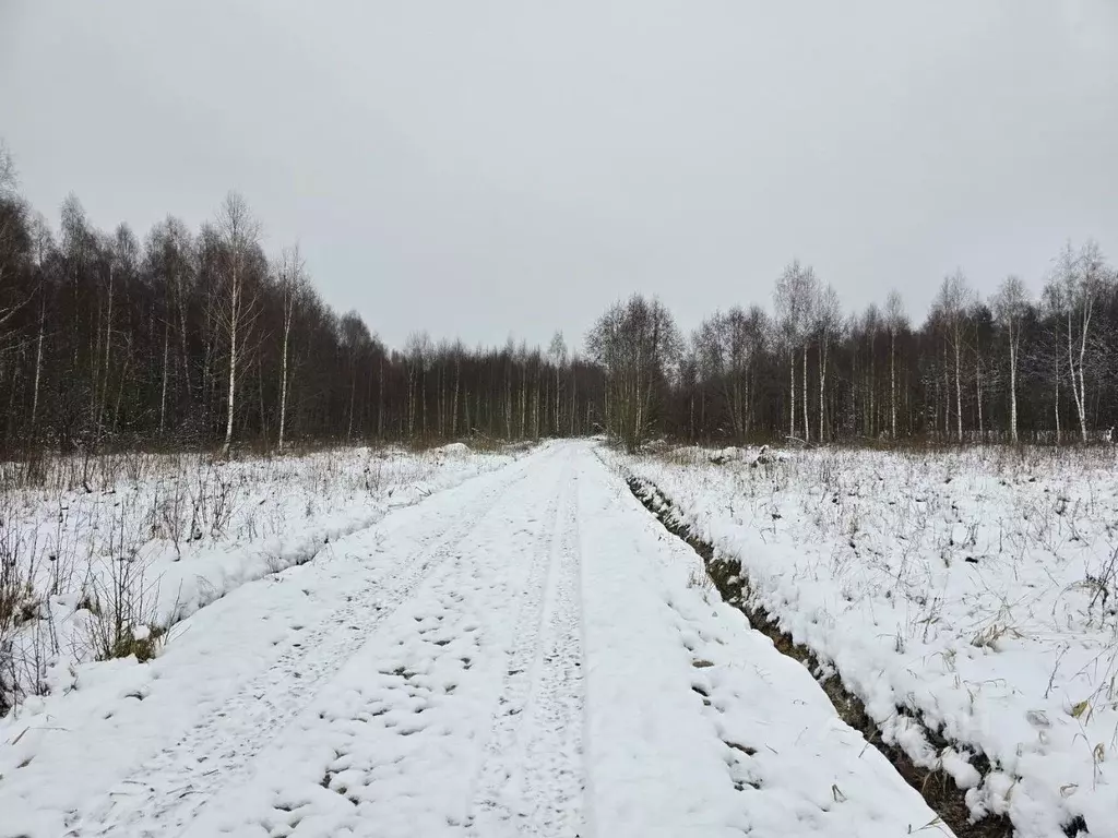 Участок в Московская область, Дмитровский городской округ, Раменье дп  ... - Фото 1