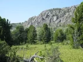 Участок 6,75 га (СНТ, ДНП) - Фото 0