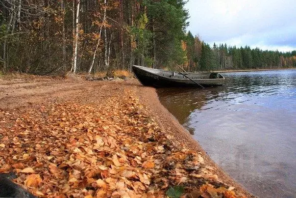 Дом в Карелия, Суоярвский муниципальный округ, пос. Лоймола ш. ... - Фото 0