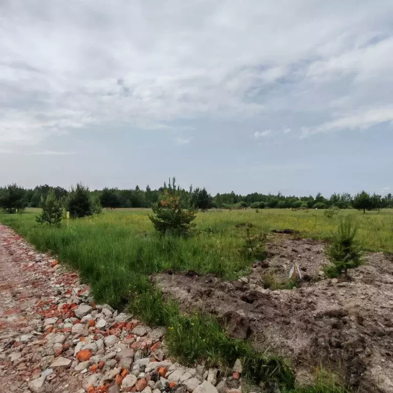 Участок в Московская область, Богородский городской округ, Следово кп ... - Фото 1