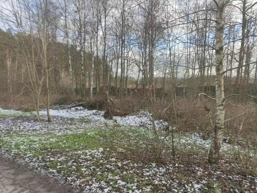 Участок в Московская область, Мытищи городской округ, д. Рождественно ... - Фото 1