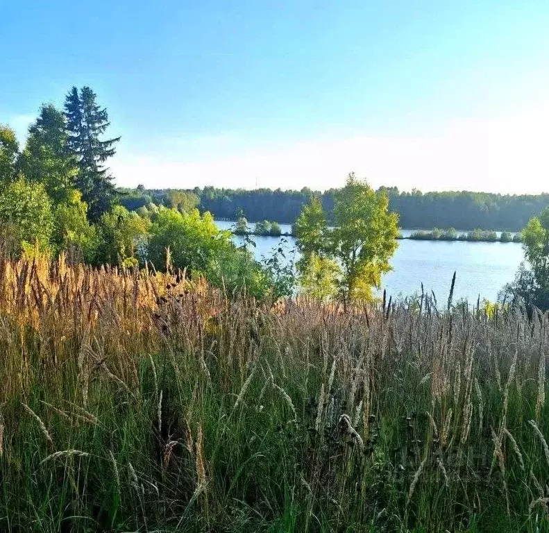 Участок в Кировская область, Вятскополянский район, Гремячевское ... - Фото 1