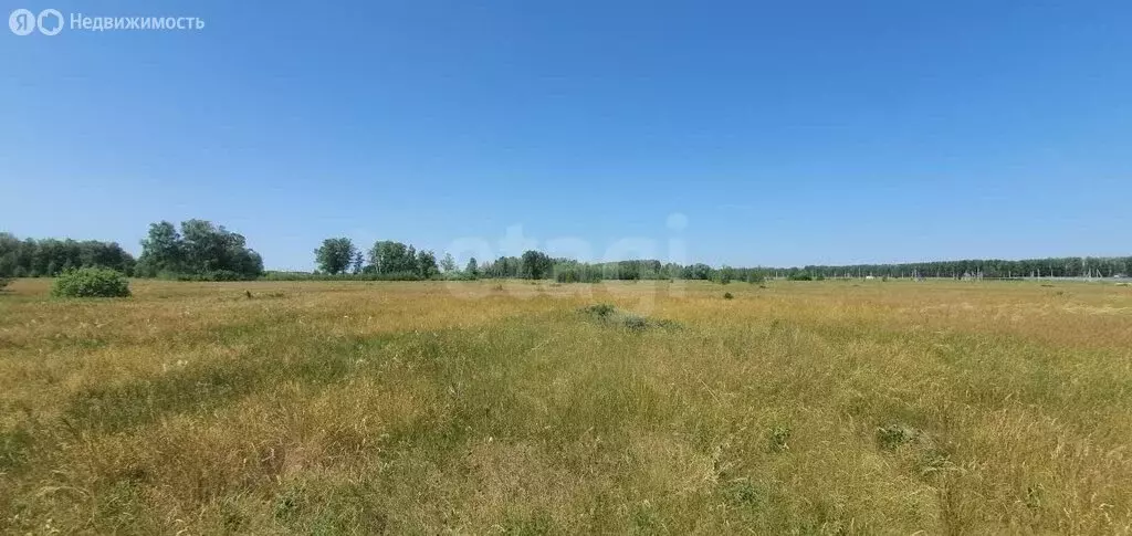 Участок в Усть-Заостровка, 9-я Сибирская улица (10 м) - Фото 0