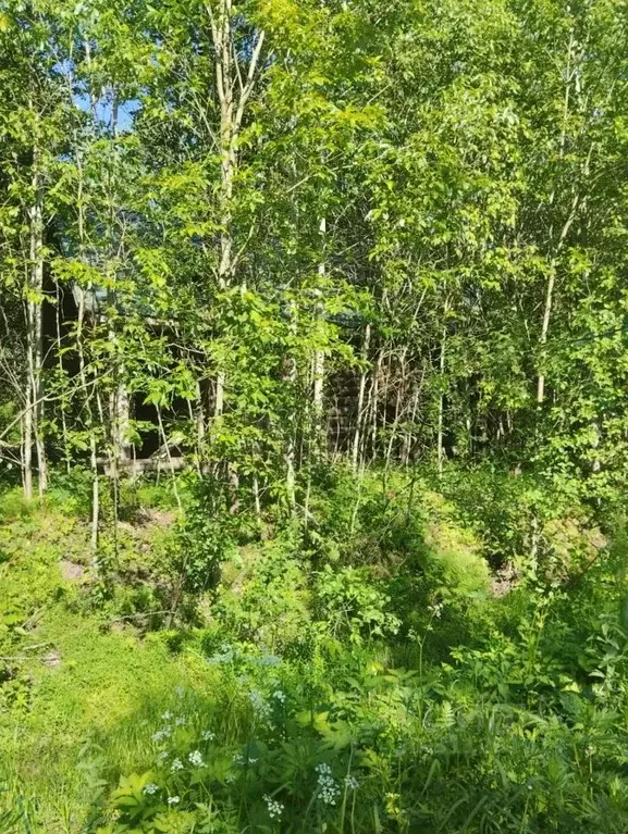Дом в Ленинградская область, Всеволожский район, Лесколовское с/пос, ... - Фото 1