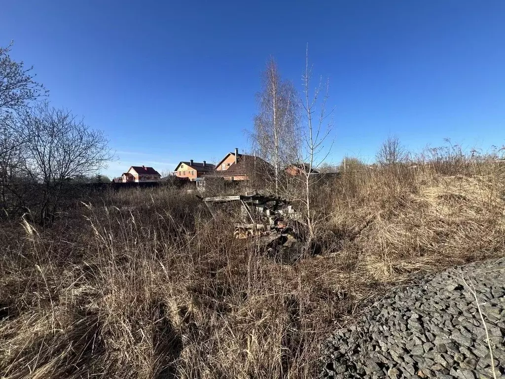 Участок в Владимирская область, Суздальский район, Новоалександровское ... - Фото 1