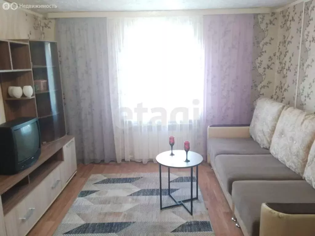 1-комнатная квартира: село Борок, Центральная улица, 41 (29.4 м) - Фото 2