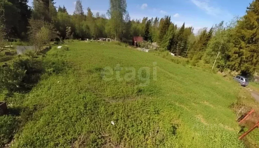 Участок в Ленинградская область, Приозерский район, Сосновское с/пос, ... - Фото 1