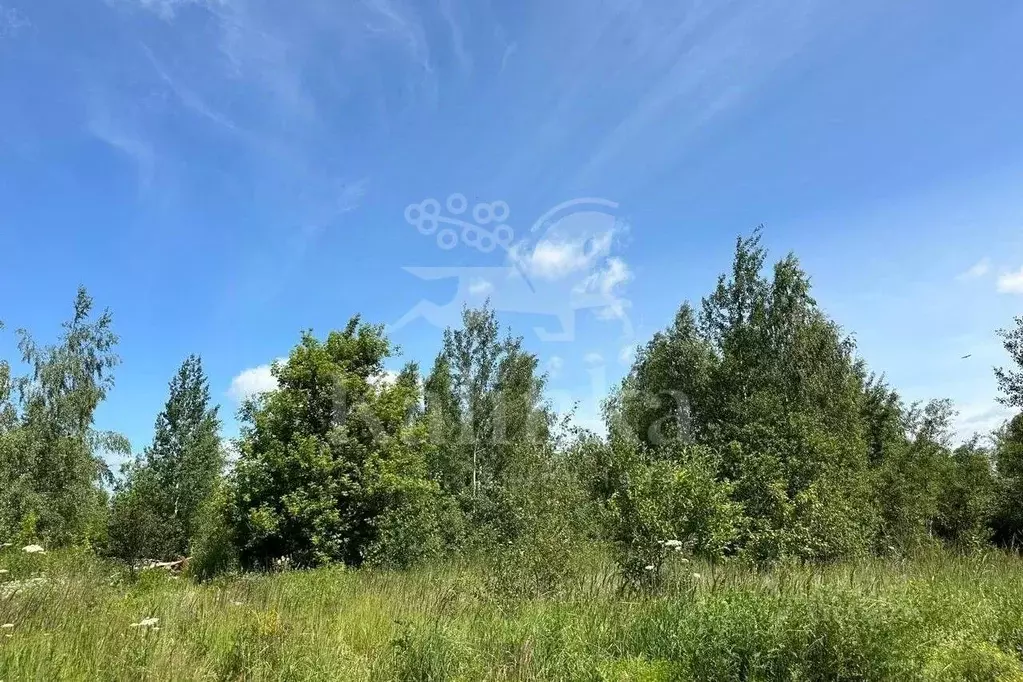 Участок в Московская область, Одинцовский городской округ, Мэдисон ... - Фото 1
