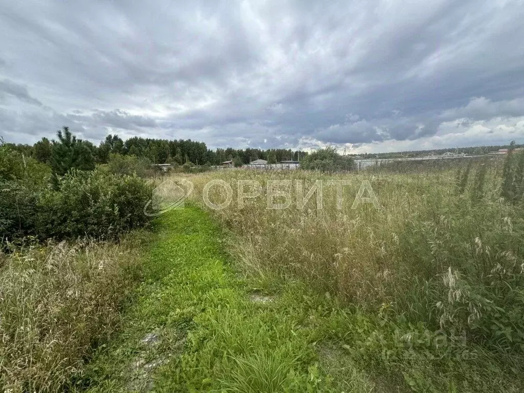 Участок в Тюменская область, Нижнетавдинский муниципальный округ, ... - Фото 2