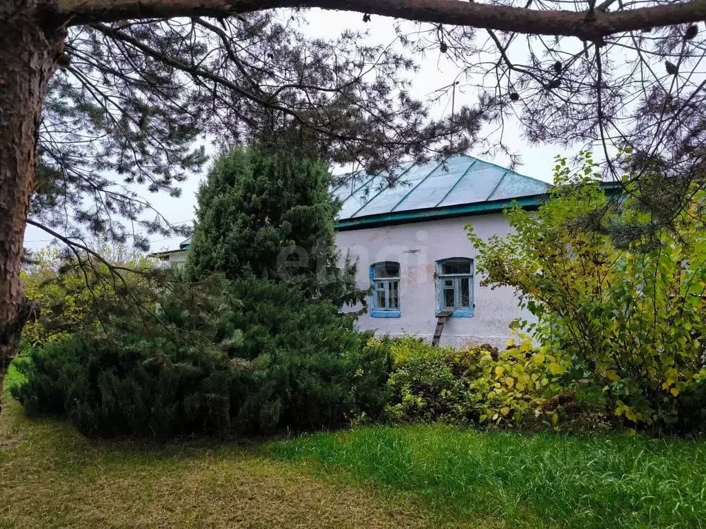 Дом в Тульская область, Киреевский район, Красноярское с/пос, д. ... - Фото 1