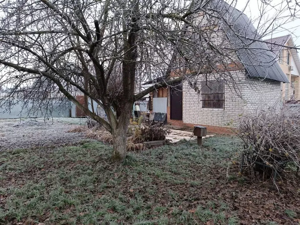 Дом в Брянская область, Брянский район, Снежское с/пос, с. Толмачево ... - Фото 1