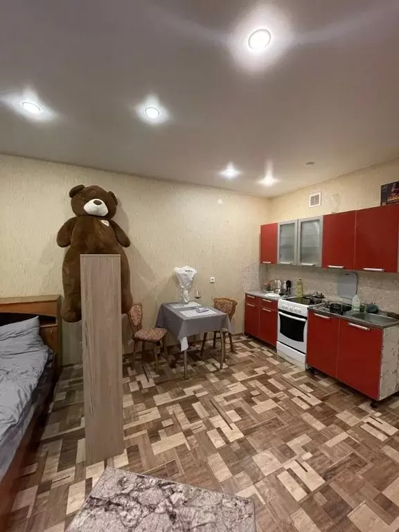 Студия Красноярский край, Красноярск ул. Елены Стасовой, 38Д (38.0 м) - Фото 0