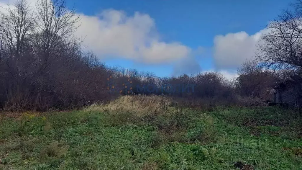 Участок в Нижегородская область, Лысковский район, с. Окишино Верхняя ... - Фото 1