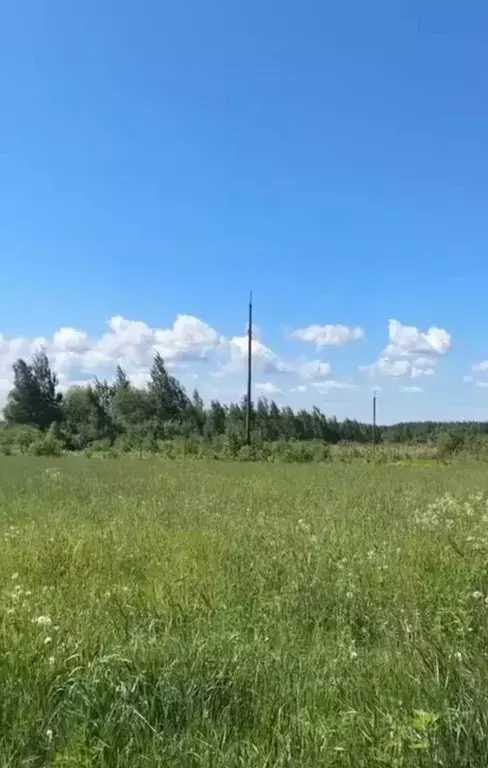 Участок в Ярославская область, Рыбинский муниципальный округ, д. Угол  ... - Фото 1