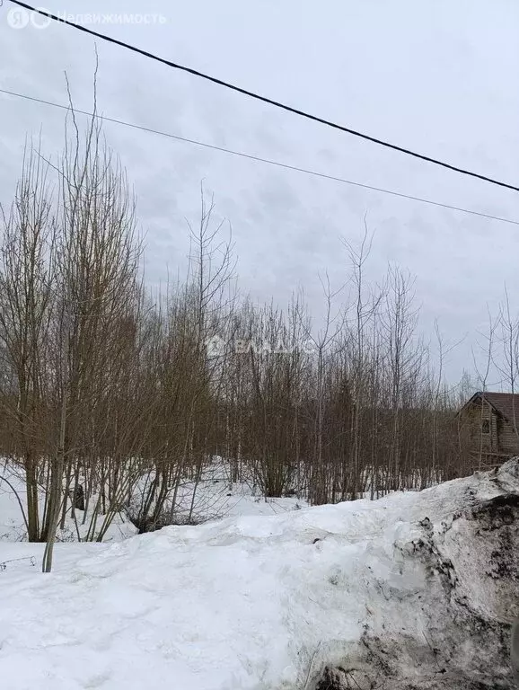 Участок в деревня Афонино, Зелёная улица, 20 (9.7 м) - Фото 1