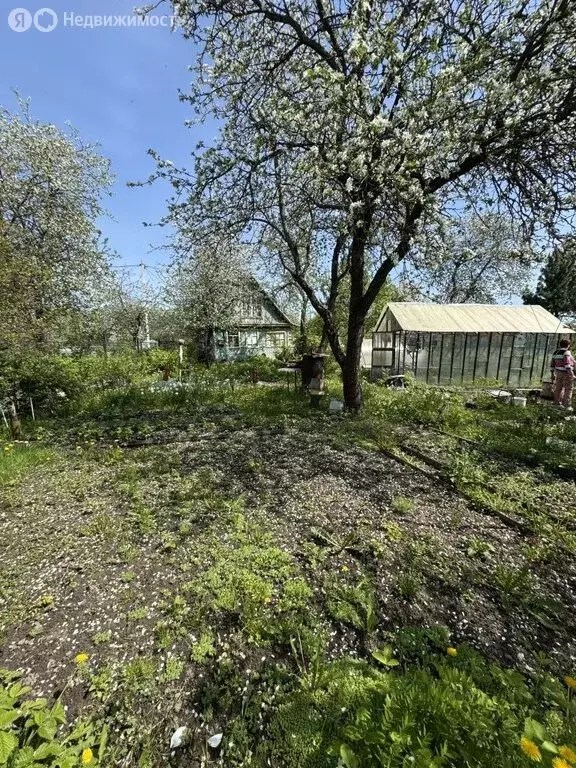 Дом в Кострома, СТ имени Крупской, 70 (28.1 м) - Фото 0