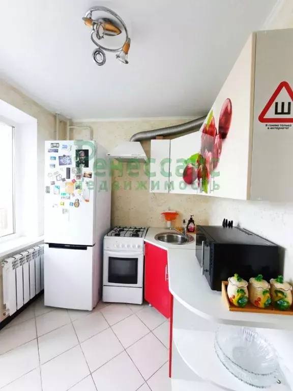 1-к кв. Брянская область, Брянск ул. Костычева, 72 (37.2 м) - Фото 2