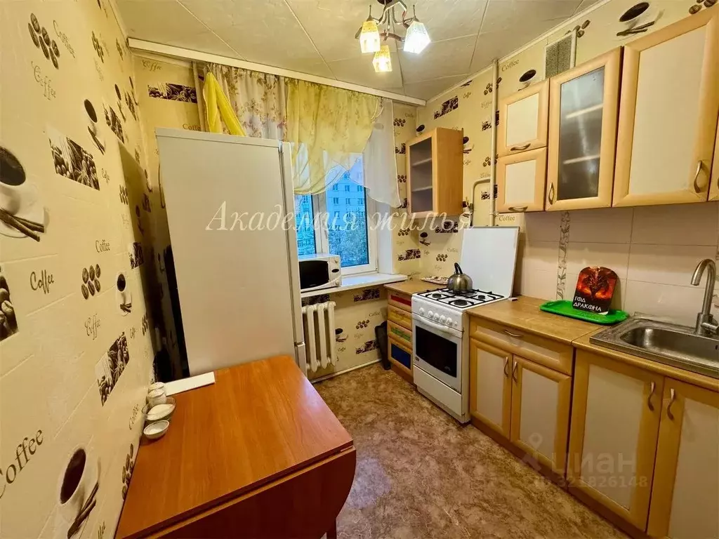 1-к кв. Башкортостан, Уфа Кремлевская ул., 67 (33.0 м) - Фото 0