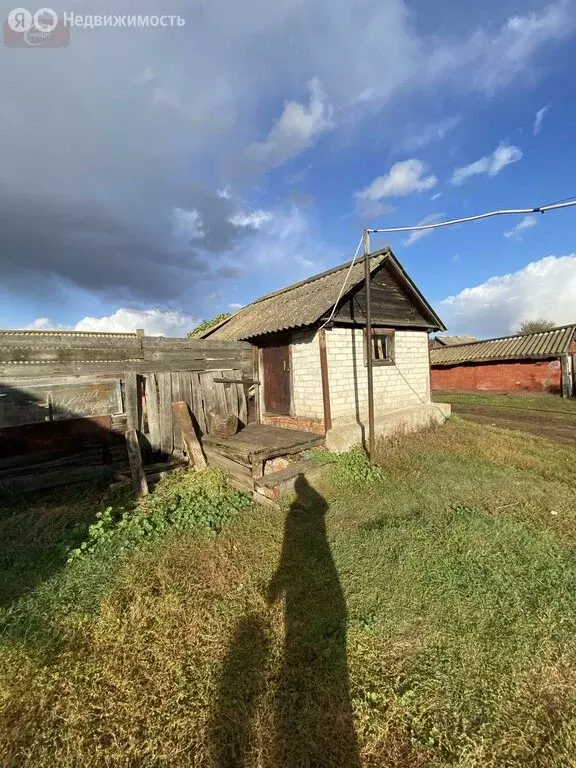 Дом в Новоусманский район, село Хлебное (27 м) - Фото 0