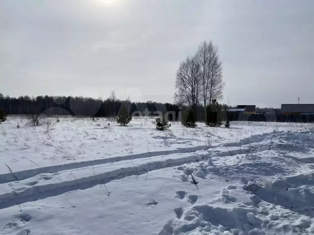Участок 30 сот. (личное подсобное хозяйство (лпх)) - Фото 1