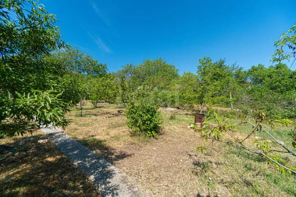 Участок в Севастополь Сосенки садоводческое товарищество, 66 (8.37 ... - Фото 1