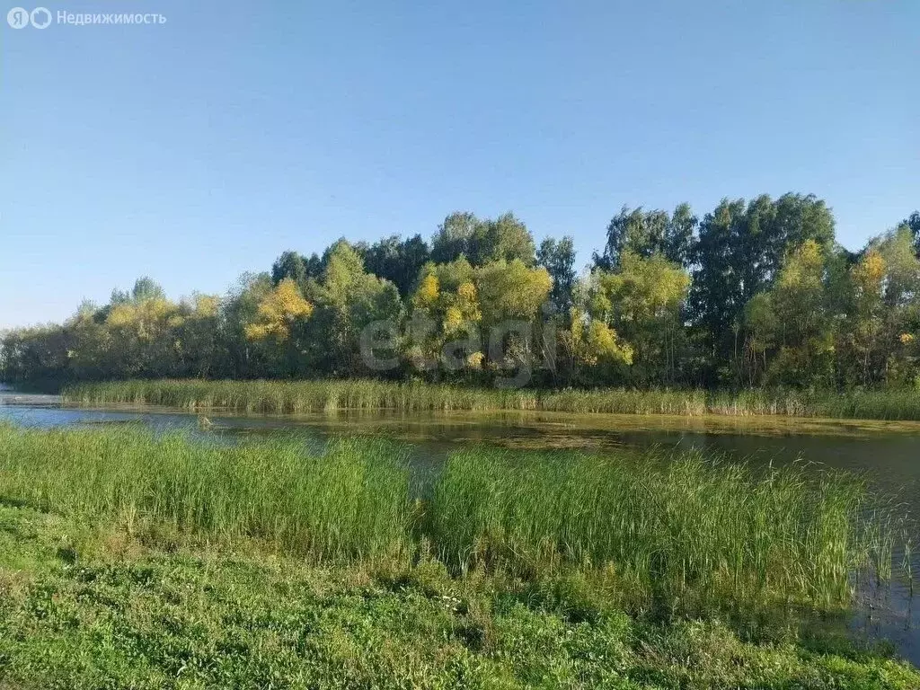 Участок в село Ленинское, микрорайон Запрудный (9.49 м) - Фото 0