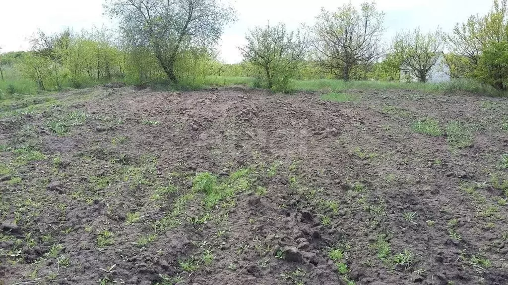 Участок в Беломестненское сельское поселение, садоводческое ... - Фото 2