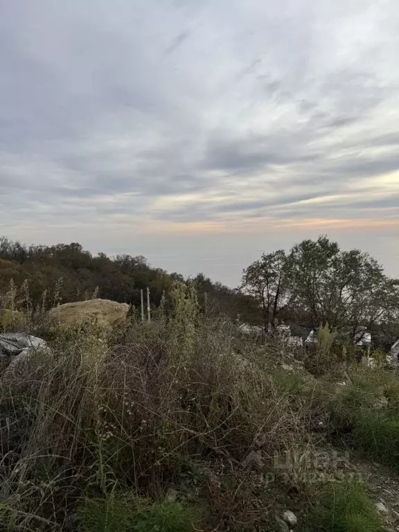 Участок в Краснодарский край, Сочи Звездная ул. (12.0 сот.) - Фото 2