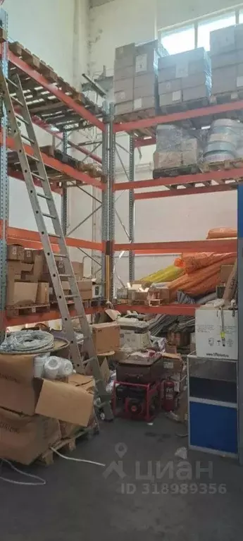Помещение свободного назначения в Московская область, Ногинск ... - Фото 1