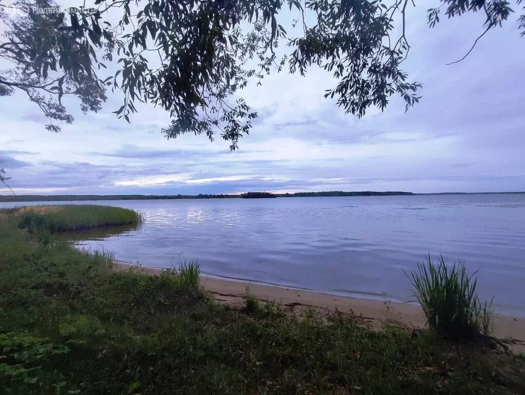 Участок в Кашинский городской округ, деревня Перетрясово (50 м) - Фото 0