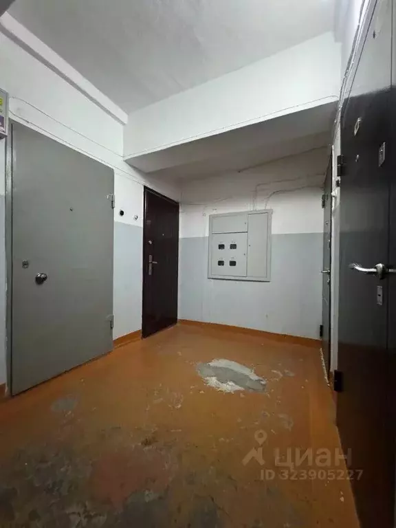 1-к кв. Пермский край, Кунгур ул. Коммуны, 49 (31.7 м) - Фото 2