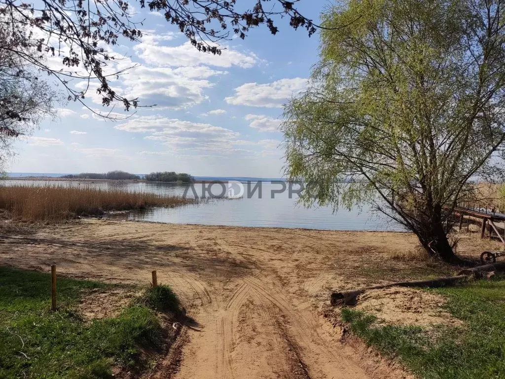 Участок в Саратовская область, Энгельсский район, Терновское ... - Фото 1