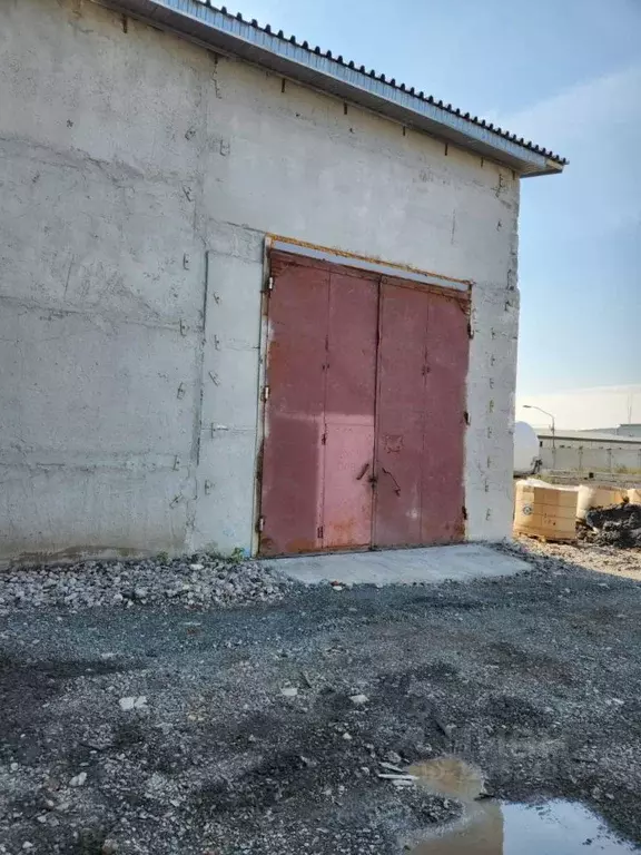 Помещение свободного назначения в Алтайский край, Барнаул просп. ... - Фото 1