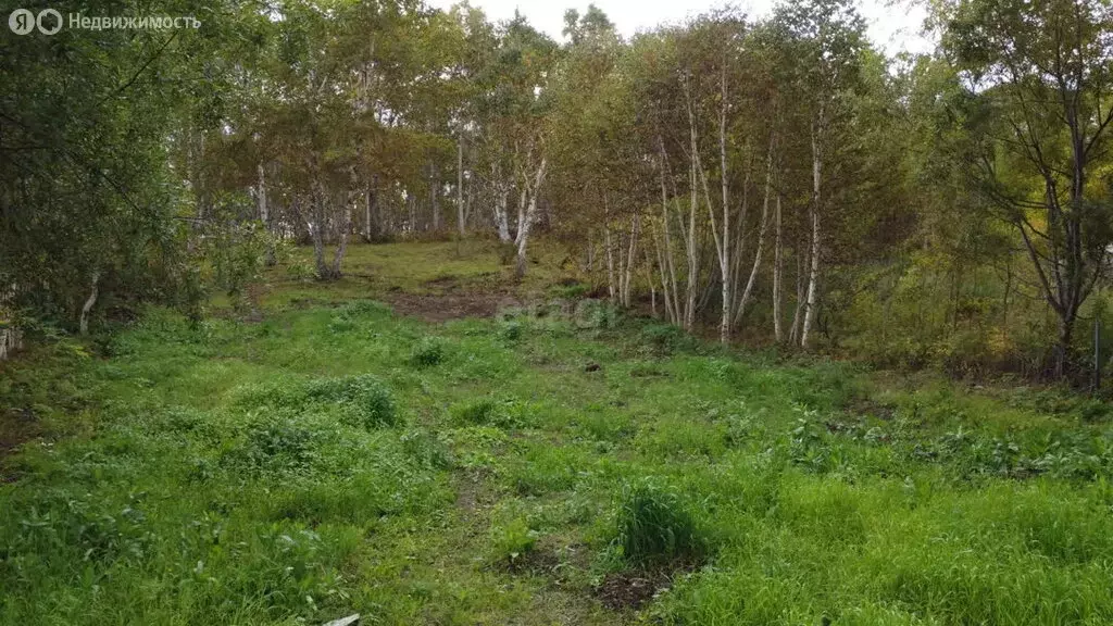 Участок в Камчатский край, Елизовский муниципальный округ, СНТ Солодок ... - Фото 1