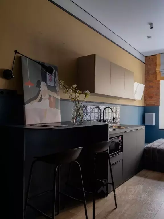 Студия Москва Большой Николопесковский пер., 13 (16.5 м) - Фото 0
