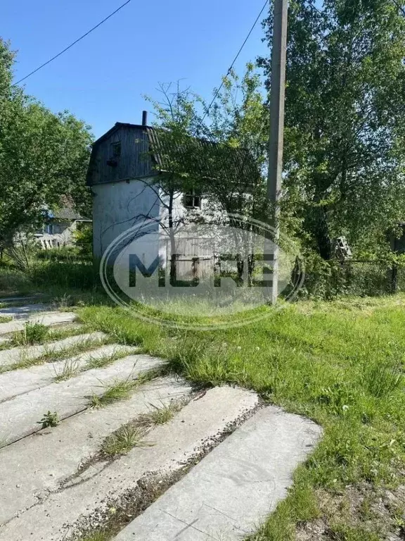 Участок в Калининградская область, Калининград Мелиоратор СНТ, ул. ... - Фото 1