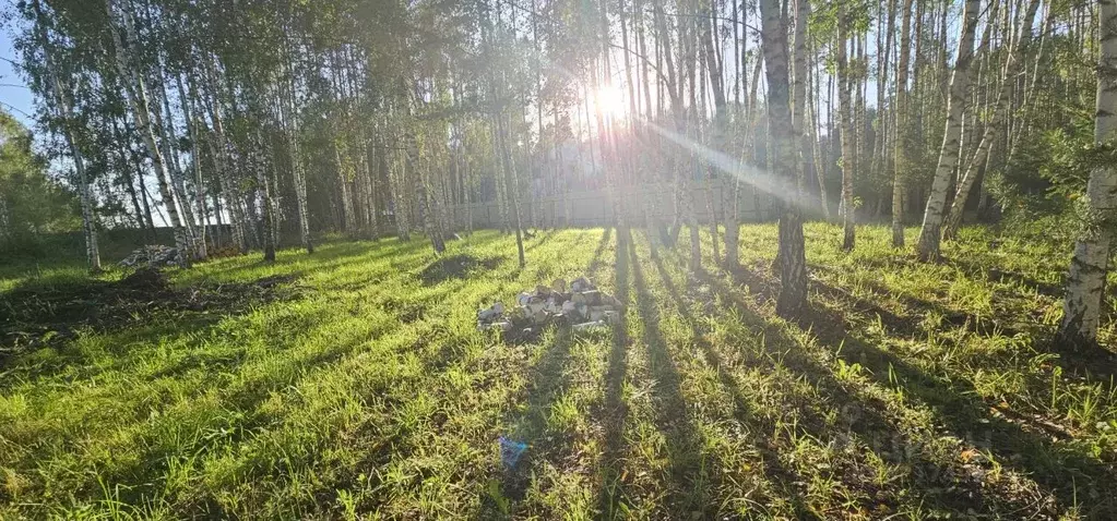Участок в Московская область, Солнечногорск городской округ, д. ... - Фото 0