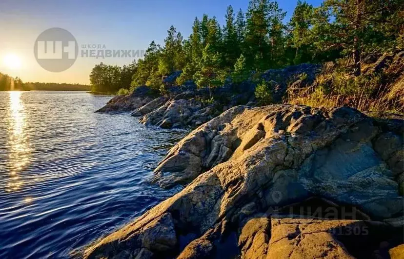 Участок в Ленинградская область, Приозерский район, Запорожское с/пос, ... - Фото 0